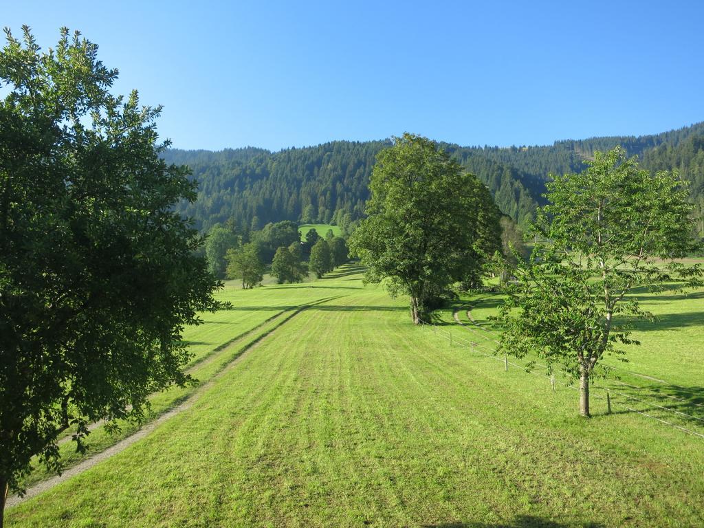 Ferienwohnungen Marchanger Niederau Exterior photo